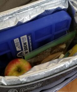 Arctic Ice Chillin' Brew Series Large 22 71XwNx3p83L