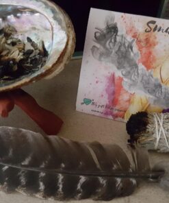 Blue Sage Smudge Sticks - Natural Incense Sticks for Cleansing Negative Energy, Meditation Accessories, Spiritual Gifts, Aromatherapy (Pack of 3) Blue Sage 3 Pack 14 71Xwf0M8rL