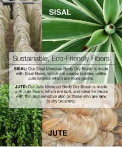 Ginger Chi Dry Brush for Skin, Dry Brushes for Body - Natural Bristle Brush for Dry Brushing Skin (Sisal Dry Brush) 15 71XwhLasSpL