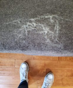 Ettore 17006 Acrylic Squeegee, 6-inch,Clear 24 71XxXEXzCGL