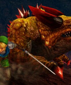 Hyrule Warriors: Legends - Nintendo 3DS Standard 14 71XxgijdiL