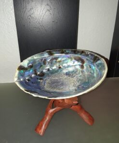 Natural Abalone (Pāua) Shell, with Stand,6-6.5 Inches,Supreme for Smudging,Cleansing Home,Meditation,Shell Crafts,Incense Holder,100% Natural, Sustainably Sourced by Ocean Shell Studios NZ 6"-6.5" 41 71XyZ0TJvL