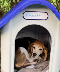 always-quality Indoor Outdoor Dog House Small to Medium Pet All Weather Doghouse Puppy Shelter Blue 22 71XygyjgfRL