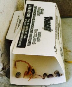 Tomcat Glue Boards (Captures Mice and Other Household Pests, Eugenol Formula, 4-Pack) 27 71Y2PdCULQL