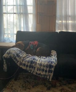 Apple AirTag 30 71Y2dKC3VcL