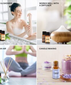 Essential Oils Set, Natrogix Fragrance Oil 100% Pure Essential Oils for Humidifiers, Diffuser, Aromatherapy, Massage, Candle and Soap Making, 14x10ML(0.33fl.oz), Made in USA 0.33 Fl Oz (Pack of 14) 11 71Y3Y2vshjL