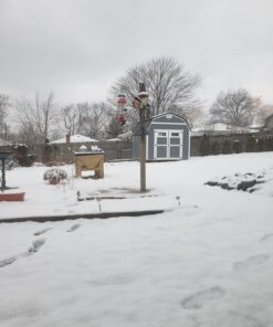 Roamwild PestOff Red Squirrel Proof Cardinal Bird Feeder Mixed Seed Sunflower Heart Version - RED - 3LBS Seed Capacity – 20.5”x7.5”x7.5” (w/Hanger) 28 71Y45uMZ6UL