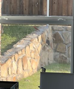 Wagner's 62012 Southern Regional Blend Wild Bird Food, 20-Pound Bag 30 71Y8068WqbL