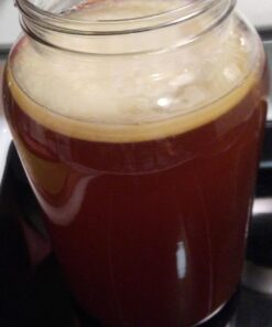 Poseymom Double Pack Kombucha Scobies and Starter Tea | (No Vinegar or Artificial Flavors Added) (Make 1/2 Gallon (1/2Cup Starter)Each 21 71Y8I3KHHL