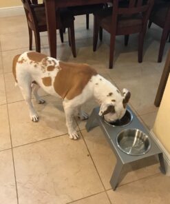 PetFusion Elevated Dog Bowls in Premium Anodized Aluminum Stand (Tall 8"). 2 US FOOD GRADE Stainless Steel 56oz bowls, Metallic Gray Tall - 8" 33 71YB4bTaMfL