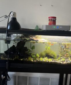 Aqueon Aquarium Algae Cleaning Magnets Glass/Acrylic, Small, Black 29 71YGuU22K6L