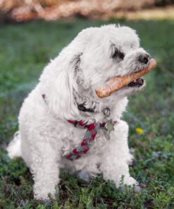 Lucky Premium Treats Chicken Wrapped Rawhide – All-Natural Rawhide and Chicken Dog Treats, Gluten Free Premium Medium Dog Treats (32 Chews) 32 Count (Pack of 1) 13 71YHHZvM0aL