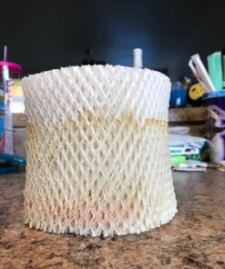 Honeywell Cool Moisture Humidifier, Medium Room, 1 Gallon Tank, White – Invisible Moisture Humidifier for Baby, Kids, Adult Bedrooms – Quiet and Easy to Clean with UV Technology for Everyday Comfort 31 71YKSJLugoL