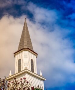 Nikon D610 24.3 MP CMOS FX-Format Digital SLR Camera (Body Only) Body Only Base 70 71YMI5SlCL