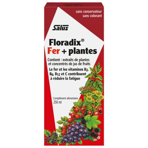 Floradix Liquid Iron and Vitamin Formula 250ml