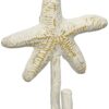 Park Designs Starfish Single Hook 52 71YPz8fFboL