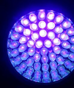 UV Flashlight Black Light, LOFTEK 51 LED 395 nm Blacklight Flashlite Pet Urine Detector for Dog Urine, Dry Stains, Bed Bug, Scorpion, Matching with Pet Odor Eliminator 37 71YR2GOqkL