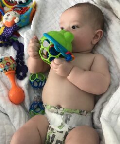 Bright Starts Oball Easy Grasp Jingle & Shake Pal Infant Toy, BPA-Free Green Frog Rattle, Age Newborn and up 25 71YRZ0fqUXL