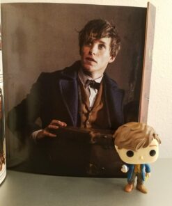 Funko POP Movies: Fantastic Beasts - Newt w/Egg Action Figure 22 71YRmmOHUhL