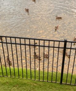 Hatortempt 5lbs Non-GMO Dried Mealworms - Premium Organic Chicken Feed, Nutritious High Protein Meal Worms- Food and Treats for Laying Hens, Wild Birds, Ducks, Reptiles, Fish, Hedgehogs, Turtles 5 Pound (Pack of 1) 45 71YT11WcCDL