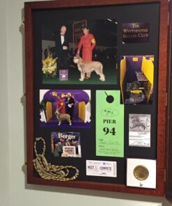 Two Timbers Extra Large Display Case with Cherry Finish Handmade Wood Box with Glass Top, Arrowheads, Knives, Rocks, Pins, Collectibles, Collections, Medals, Military Coins 4h, Memory Box Keepsakes 26 71YVE4H zPL