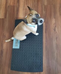 W.C Redmon Precision Digital Pet Scales, Large Large (Pack of 1) 33 71YWRBfzML