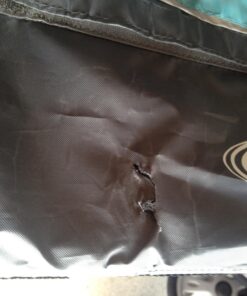 Instep Bike Trailer for Toddlers, Kids, Single and Double Seat, 2-In-1 Canopy Carrier, Multiple Colors Light Blue 33 71YXOYgxUPL