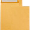Amazon Basics Catalog Mailing Envelopes, Peel & Seal, 6x9 Inch, Brown Kraft, 100-Pack 6 x 9 49 71YXolLRm6L