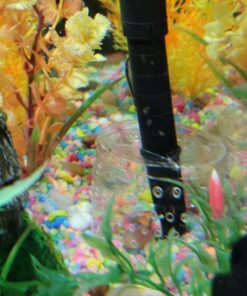 Zanyzap Pre-Filter Sponge 3 Pack for Fluval Edge Aquarium 29 71YYX8iYp4L