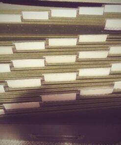 Pendaflex Hanging File Folders, Letter Size, Standard Green, 1/5-Cut Adjustable Tabs, 25 Per Box (81602), Standard Green - 1/5 Tabs 1/5 Cut 26 71YYs nFA9L