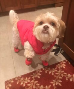 WINSOON Dog Australia Boots Pet Antiskid Shoes Winter Warm Skidproof Sneakers Paw Protectors 4-pcs Set (Size 4, Pink) Size 4 40 71YZO06S1SL