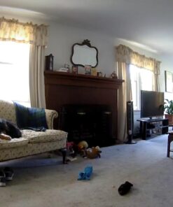 Canary Pro Indoor Home Security Camera 1080p HD WiFi IP | 24/7 Watch Live Video, Siren, Climate Monitor, Motion Alerts, Two-Way Talk, Night Vision, 10x Zoom, Private Mode, Works with Alexa and More 46 71YaiCFolwL