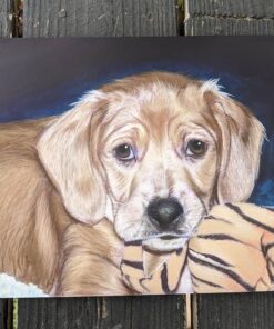 Faber-Castel 110060 Polychromos Colored Pencil Set In Metal Tin, 60 Pieces 60 Count (Pack of 1) 28 71YbJIlNoL