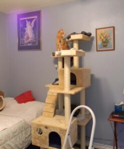 Go Pet Club Cat Tree, 50W x 26L x 72H, Beige 50 71YcrMdqBXL
