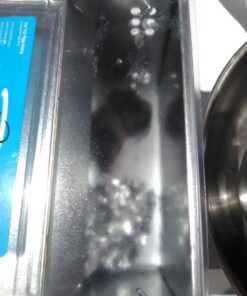 Ketch-All Mousetrap w/ Clear Lid 18 71Yf1QG29TL