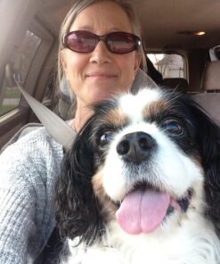 Do Unto Animals: A Friendly Guide to How Animals Live, and How We Can Make Their Lives Better 26 71YgjdSWBTL