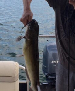 Okuma Voyager Spinning Freshwater Travel Kit, VS-605-20, Blue Fishing Rod Reel Combo 40 71YhMA3SgeL