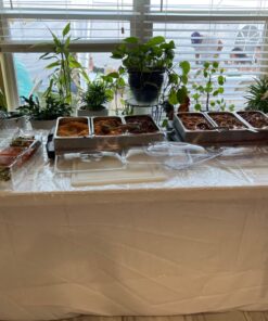 Oaklyn Large Clear Condiment Server Organizer on Ice with Containers and Lid – BPA-Free Serving Bar Compartments and Plastic Box Tray – Chilled Caddy Dispenser Set - Holds 80 oz Total 31 71YiHIe3HrL