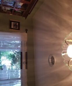 Bioluz LED 4 Pack BR20 LED Bulb 3000K Bright Soft White 6W = 50 Watt Replacement 90 CRI 540 Lumen Indoor/Outdoor UL Listed CEC Title 20 Compliant (Pack of 4) Soft White 3000k 4 Count (Pack of 1) 11 71YjVTrSktL