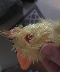 KONG - Plush, Low Stuffing Squeak Duck Dog Toy - Replacement Squeaker Included- For Small Dogs 1 Pack 22 71YkrzWQk0L