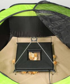 IncuView™ All-in-One Automatic Egg Incubator and Brooding Ultimate Combo Kit 14 71Yme0C2PhL