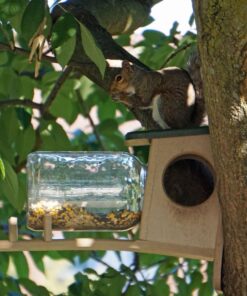 Birds Choice SNSQJAR Recycled Squirrel Jar Feeder, Squirrel Feeders, 7-1/4"L X 19"W X 15-3/4"H, Taupe w/ Green Roof 39 71Yn j0U9BL