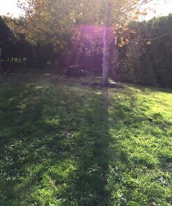 Greenworks 7 Amp 160 MPH/150 CFM Single Speed Electric Blower, 24012 39 71YnTjSiwjL