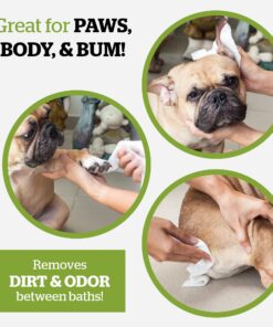 Pogi's Dog Grooming Wipes - 100 Dog Wipes for Cleaning and Deodorizing - Plant-Based, Hypoallergenic Pet Wipes for Dogs, Puppy Wipes - Quick Bath Dog Wipes for Paws, Butt, & Body - Fragrance Free 100-Count Wipes Fragrance-Free 26 71YrkBX73uL