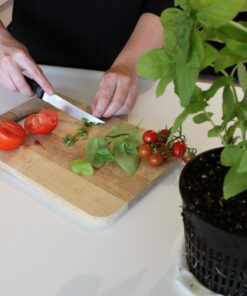 Emsco Group 2370 Hydropickers Compact 24” x 20” Footprint – Mobility Provided by Casters Non-Electric Hydroponics Grow Box, Cobalt Blue 11 71YsMKxDbeL