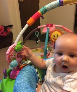 VTech Lil' Critters Spin and Discover Ferris Wheels, Pink (Amazon Exclusive) 34 71YsVrQI5KL