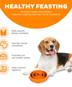 Outward Hound Fun Feeder Slo Bowl, Slow Feeder Dog Bowl, Medium/Mini, Orange 19 71YwnPyuL