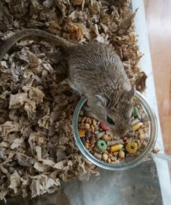 Small Pet Select Premium Small Animal Bedding, Natural Soft Paper Bedding for Small Indoor and Outdoor Pets, Made in USA, Jumbo Size 178 L Pack 50 71YxCydfn0L