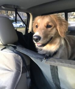 Nylabone Natural Nubz Edible Dog Chews, 22 Count 22 Pack Large - 30+ lbs. 19 71YymbkKUL