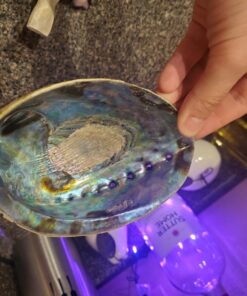 New Age Smudges & Herbs® 5 - 6 inches Premium Natural Abalone Shell &Wooden Stand~ Smudging, Cleansing Home, Meditation, Incense Holder, Home Décor, 100% Natural & Sustainable. 44 71YzQX6QyhL 2